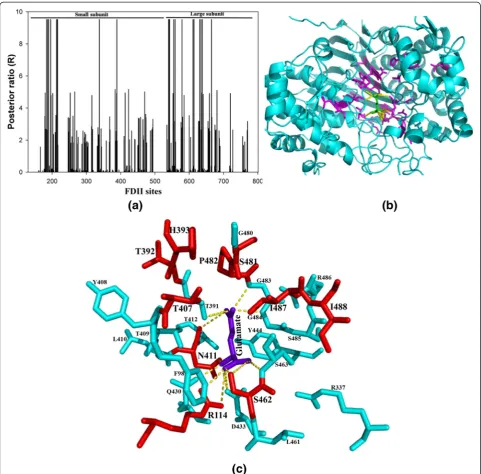 Fig. 3 Type 2 functional divergence analysis for Bacteria 1 vs. Bacteria 4 extremophile.binding cavity region of(cyan color) ofstick.(cyan color) ofobserved at posterior ratio (R) 9.5
