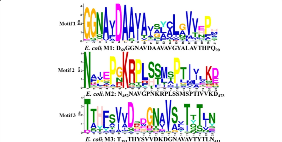 Fig. 2 Functional motif analysis in GGT family. Figure shows three putative motifs M1, M2 and M3 identified by MEME in the GGT alignmentof 47 sequences