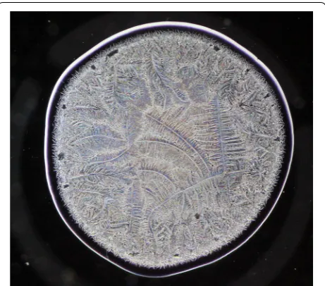 Fig. 2 Morphological zones in a normal tear microdesiccate imaged with phase contrast (Ph3) microscopy