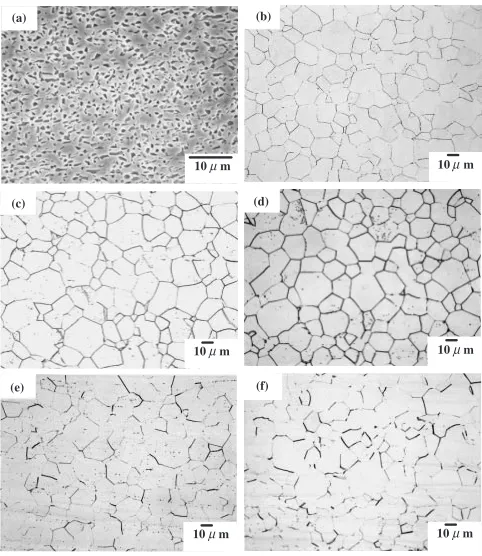 Fig. 3Microstructures of Ti-30Nb (SEM) and Ti-30Nb-1Fe-xHf alloys(optical) having various Hf contents (a) Ti-30Nb (b) 0% Hf, (c) 1% Hf,(d) 3% Hf, (e) 5% Hf, and (f) 7% Hf.