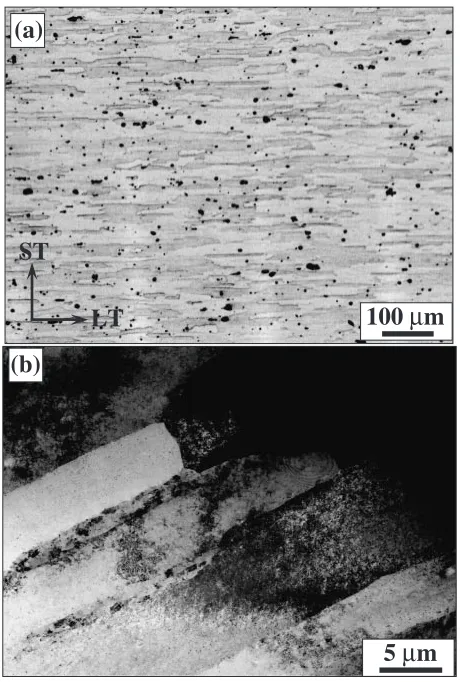 Fig. 2Typical microstructure developed in 7075 Al alloy during FSW. (a)Optical and (b) TEM micrographs.