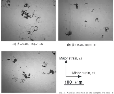 Fig. 9Cavities observed in the samples fractured at strain states of