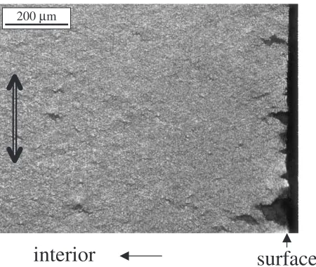 Fig. 9Appearance of cavities around the corner (surface) part of theparallel part of tensile test specimen for the specimen deformed to thefracture limit under condition E.
