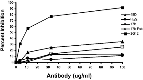 FIG. 4. 17b Fab and MAbs directed against the gp120 coreceptor-binding site do not inhibit HIV-mediated cell-cell fusion