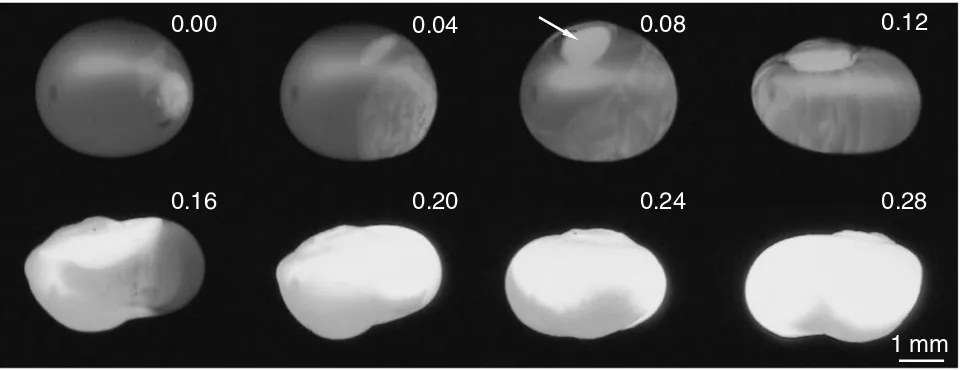 Fig. 7HSV images of the sample containing both YAP and YAG. The elapsed time (in seconds) is indicated at the top right of thephotographs.