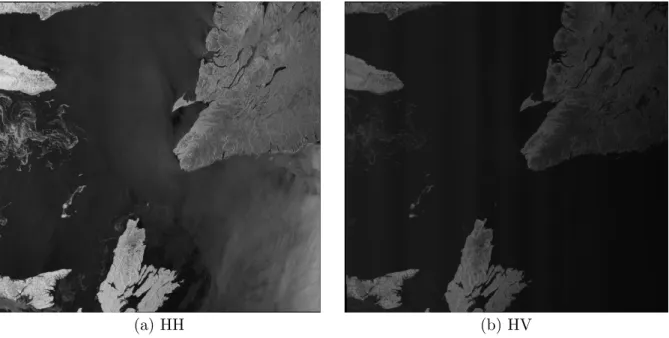 Figure 2.1: An example of a dual-pol SAR scene acquired on 2014-01-18 in the Gulf of St.