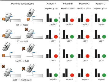 Figure 5 Biological interpretation of color patterns identified in the animation-assisted network