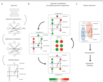 Figure 1 Flow chart of the microarray data analysisset of 8 genes, whose expression varies across 3 different pairwise experimental comparisons and whosecorresponding proteins undergo a certain number of interactions