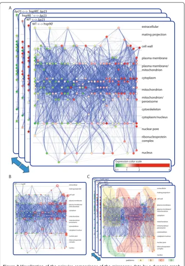 Figure 2 Visualization of the pairwise comparisons of the microarray data by a dynamic graph.Genes showing significant fold change in their expression levels in at least one pairwise comparison of allthe experimental conditions were linked and grouped acco