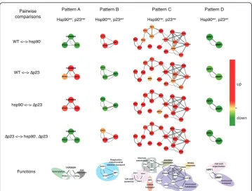 Figure 4 Genes that change significantly in all pairwise comparisons define the four regulatorypatterns