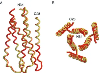 FIG. 6. Overall views of the mutant G572A and R579A peptide six-helix bundles. (A) Side view