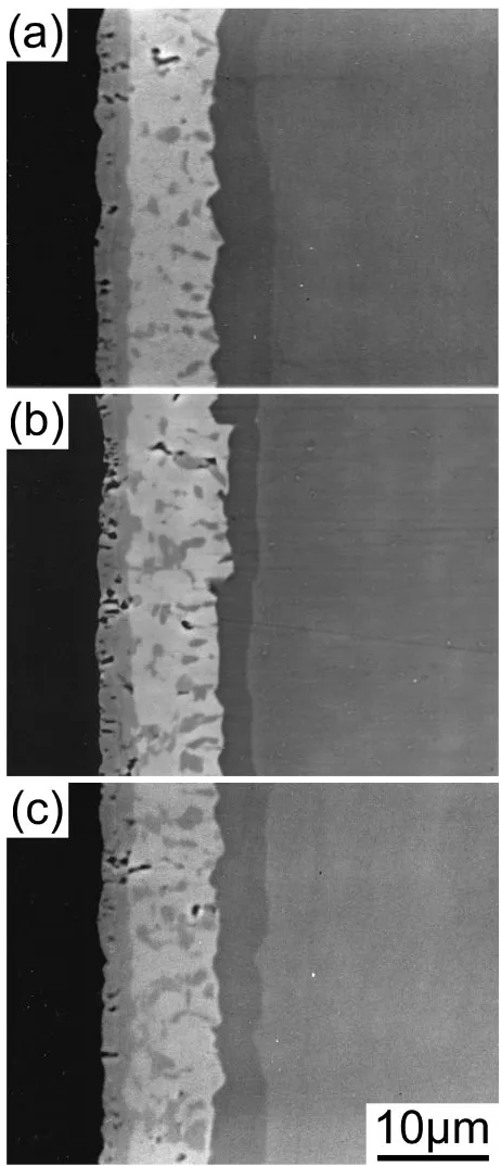 Fig. 4Inﬂuence of the cooling rate on the interfacial microstructure of aSiC/TiAl joint bonded at 1573 K for 32.4 ks