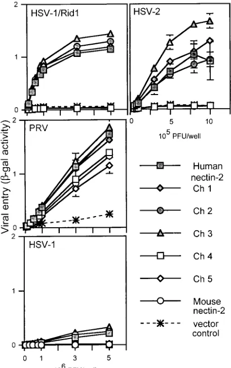 FIG. 2. Alphaherpesvirus entry activities of wild-type and chimericnectin-2 molecules