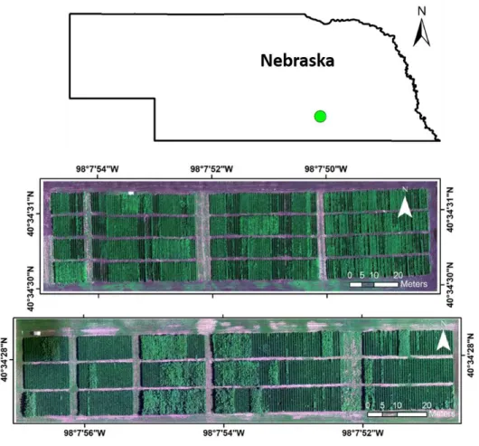 Figure 2.1. Study area at South Central Agricultural Laboratory in Clay Center, NE 