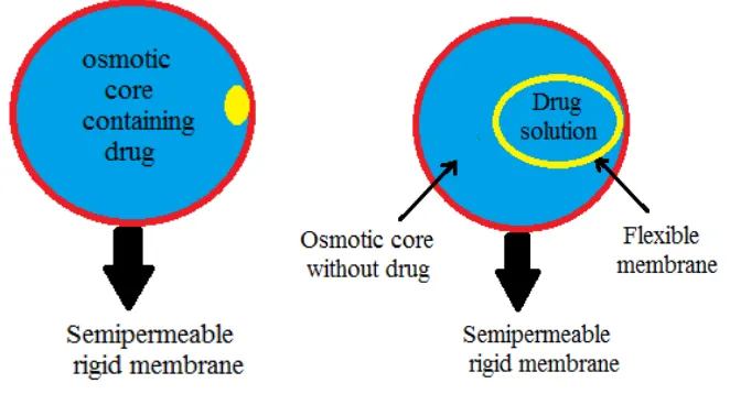 Fig. 6: Type-A osmotic system            Fig.7: Type-B osmotic system 