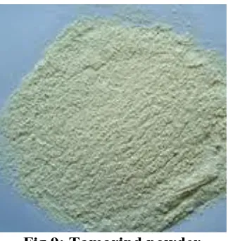 Fig.9: Tamarind powder  