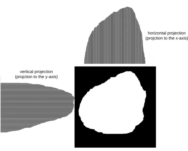 Fig 4. Histograms of horizontal and vertical projections.
