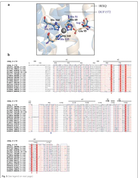 Fig. 5 (See legend on next page.)