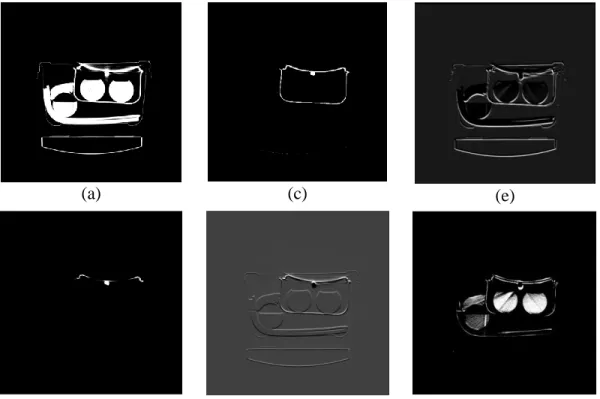Fig 2.8:  Part of FCN feature maps in first 3 convolution layers ((a)(b)  from 1 st , and (c)(d), (e)(f) from 2 nd , 3 rd )