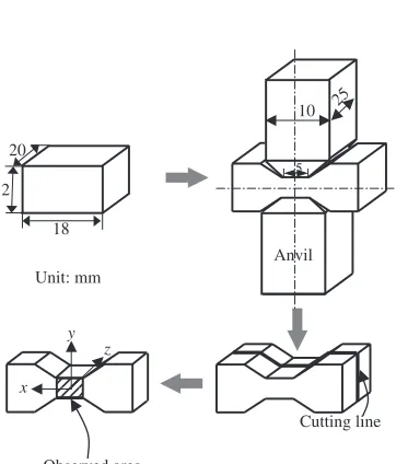 Fig. 1Hot compression process.