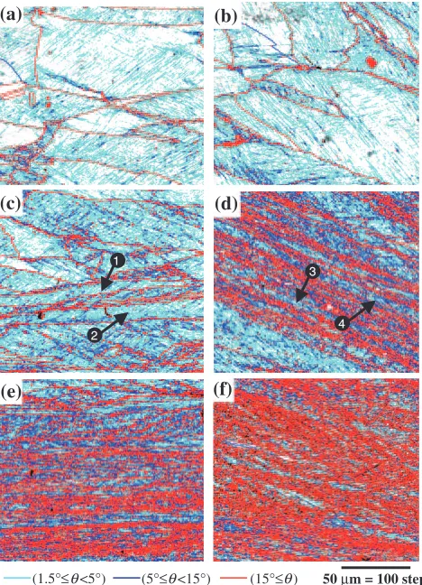Fig. 5Schematic diagrams of cross sections of specimens after (a) 50%and (b) 75% compression.