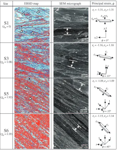 Fig. 7EBSD maps, SEM micrographs and principal strains for some sites at equivalent strain of "eq ¼ 1:5: site S1 (�xy ¼ 0), site S3(�xy ¼ 1:08), site S5 (�xy ¼ 1:92) and site S6 (�xy ¼ 2:29) and � means the rotation angle from x, y axes to principal axes.