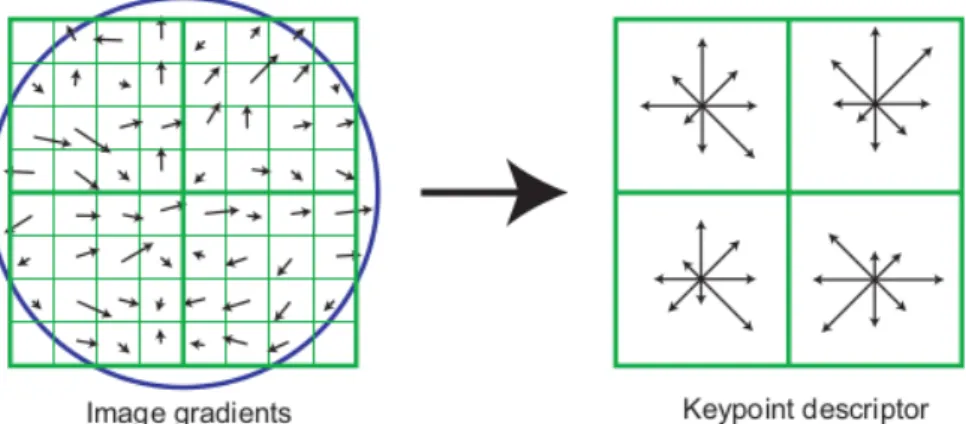 Figure 3.3: Illustration of the SIFT descriptor [Lowe, 2004]. The magnitudes and orientations of local image gradients are weighted by a Gaussian window (blue circle)