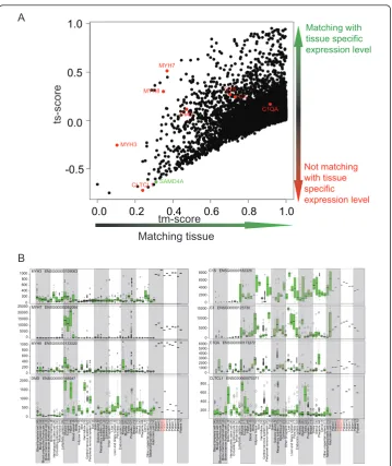 Figure 3 A) Scatterplot of tm- and ts-scores of DMD patient (number 4) when compared against