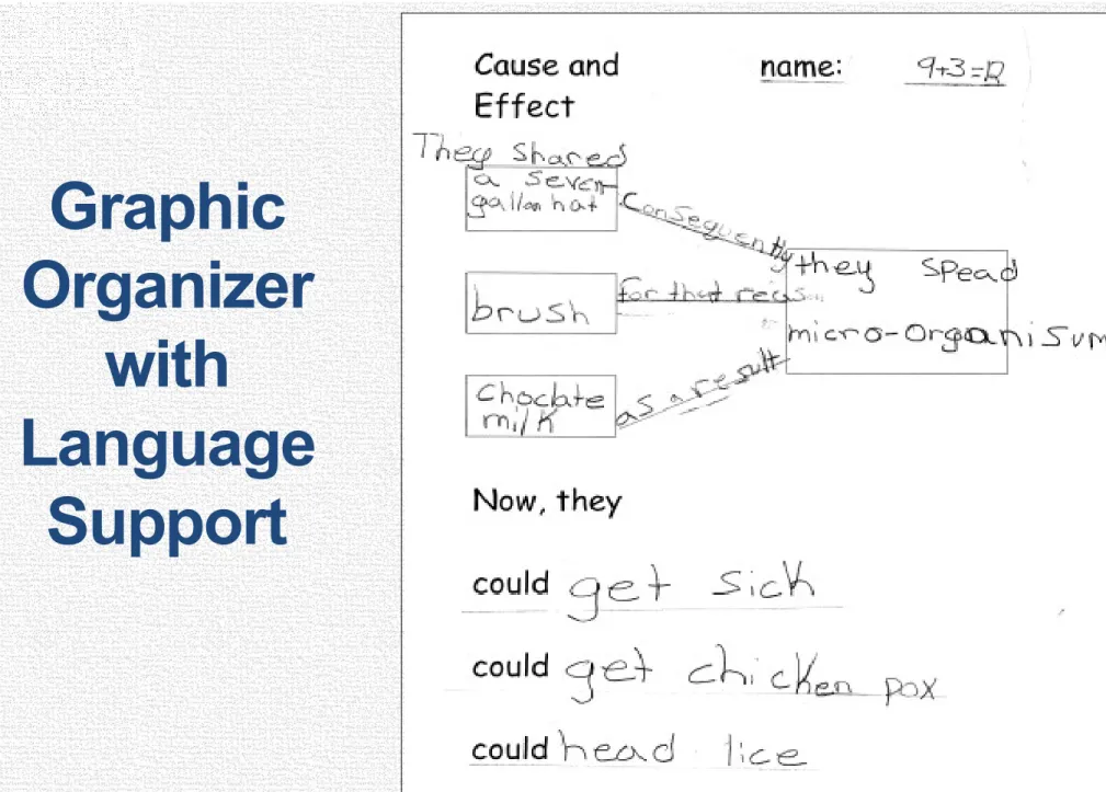 Graphic  Organizer 
