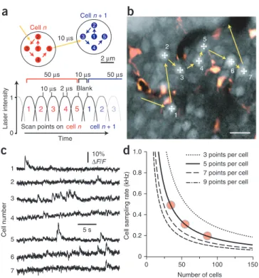 Figure 2 | Random-access pattern scanning from neuronal populations. 