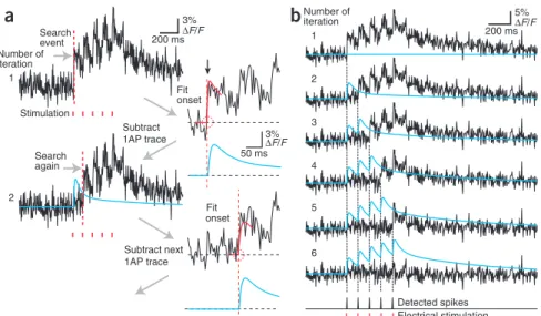 Figure 4 | Peeling algorithm for extracting spike trains from fluorescence transients