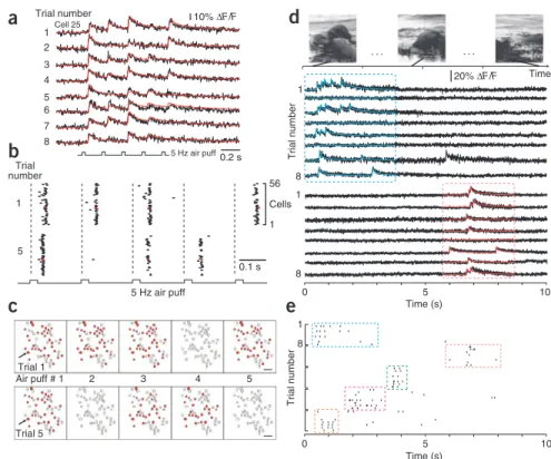 Figure 6 | Subsecond trial-to-trial variability of  sensory-evoked responses in mouse neocortex