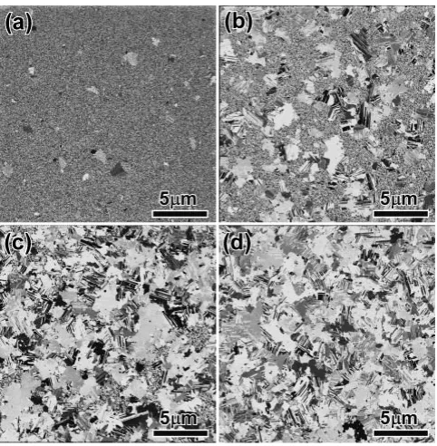 Fig. 1Plan-view SIM images of the 100 nm-thick Cu ﬁlm deposited bysputtering on the Si/Si3N4 substrate, and annealed at room temperature for(a) 4 h, (b) 6 h, (c) 9 h, and (d) 16.5 h.