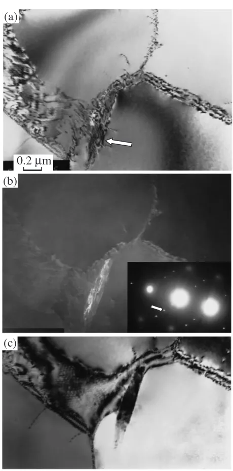 Fig. 7Precipitates in the undeformed specimen aged at 723 K for 8.6 Ms.(a) Bright ﬁeld image, and (b) key diagram for the inserted SADP, selectedarea diﬀraction pattern.