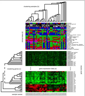 Figure 1 Visualization of clustered microarray data and clinical datadata (secondary data) available for the subjects is displayed between the top cluster tree and themicroarray datadata(primary data) is displayed by colored squares, each one representing 
