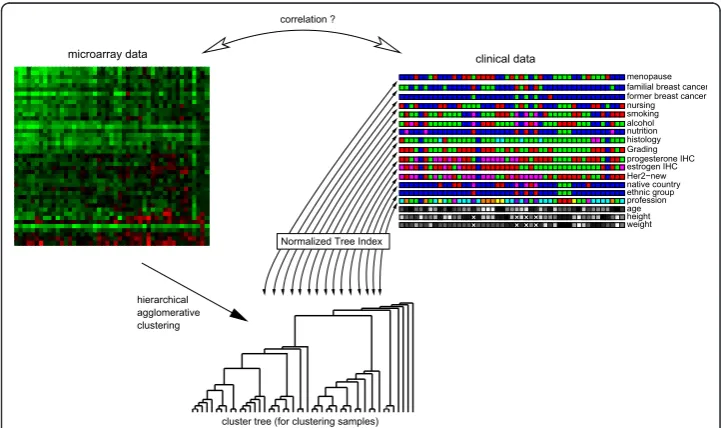 Figure 2 Computing the correlation between clinical parameters and microarray data. TheNormalized Tree Index (NTI) is used to compute a correlation coefficient between the clustering result(tree structure) of high-dimensional primary data (microarray data)