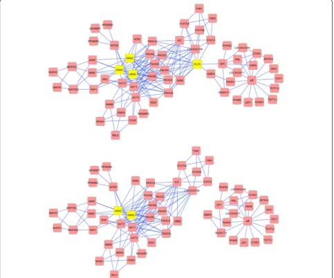 Fig. 3 Analysis of the Protein-Protein Interaction network for Acute Myeloid Leukemia