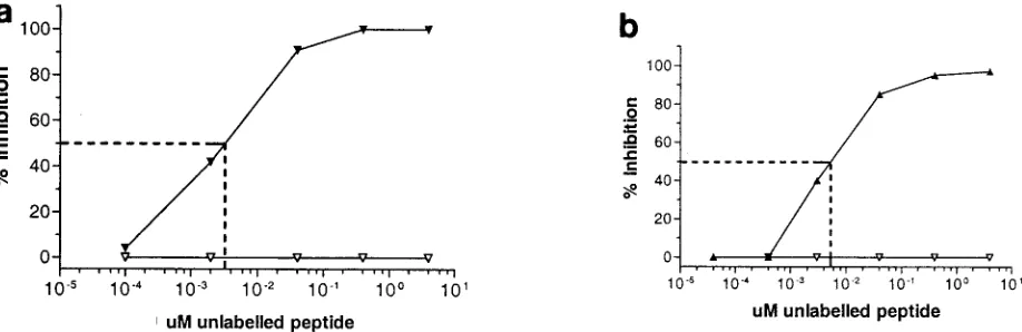 FIG. 1. Dose-dependent inhibition of binding to rhesus macaque MHC class II molecules by excess unlabeled peptide