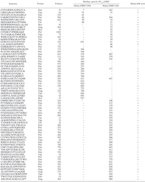TABLE 3. SIV-derived overlapping 15-mer peptide binding to Mamu-DRB*w201 and Mamu-DRB1*0406