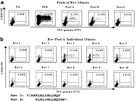 TABLE 4. Presence of the putative Mamu-DRB peptide bindingmotif in SIV-derived overlapping 15-mer peptides