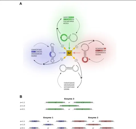 Figure 1 The Metabolically Coupled Replicator System with folded RNA molecules.“reaction network (metabolism)