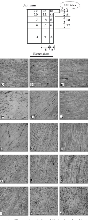 Fig. 3Low magnitude OM micrographs showing the material ﬂow in various position of the extruded billet.