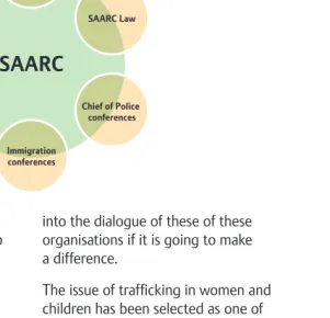 Figure 8: Regional coordinating mechanisms operating at SAARC level