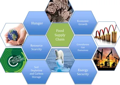 Figure 1-1: The sustainable food supply chain intersects several global challenges 