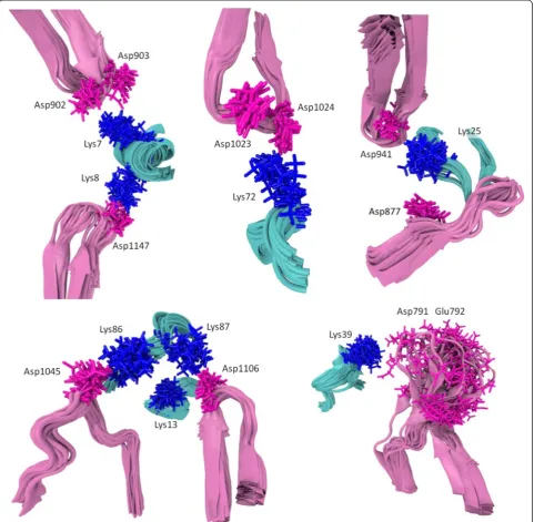 Fig. 7 Mobility of complex salt bridges between cytochrome c and Apaf-1 in the course of MD simulations