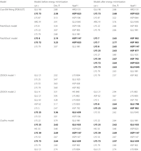 Table 1 Salt bridges in putative models of Apaf-1/cytochrome c complex before and after energy minimization