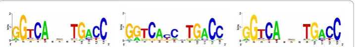 Figure 4 Logos for the ERE motif. Left: real motif; middle: motif found by PSO+ with the gap optionturned off; right: motif found by PSO+ with the gap option turned on.