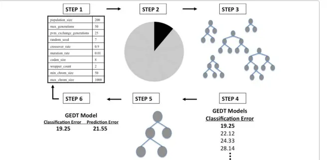Figure 2 The GEDT Algorithm. An overview of the GEDT process that shows the six-step process of initialization, cross-validation, training, fitness evaluation using balanced error, naturalselection (tournament) and testing - evaluating prediction error