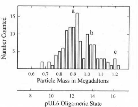 FIG. 7. Histogram showing the masses determined from 127 indi-vidual pUL6 images such as those shown in Fig