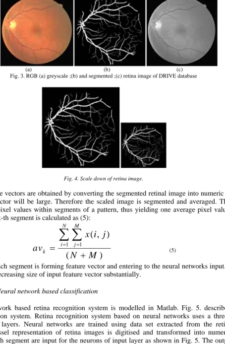 Fig. 4. Scale down of retina image. 